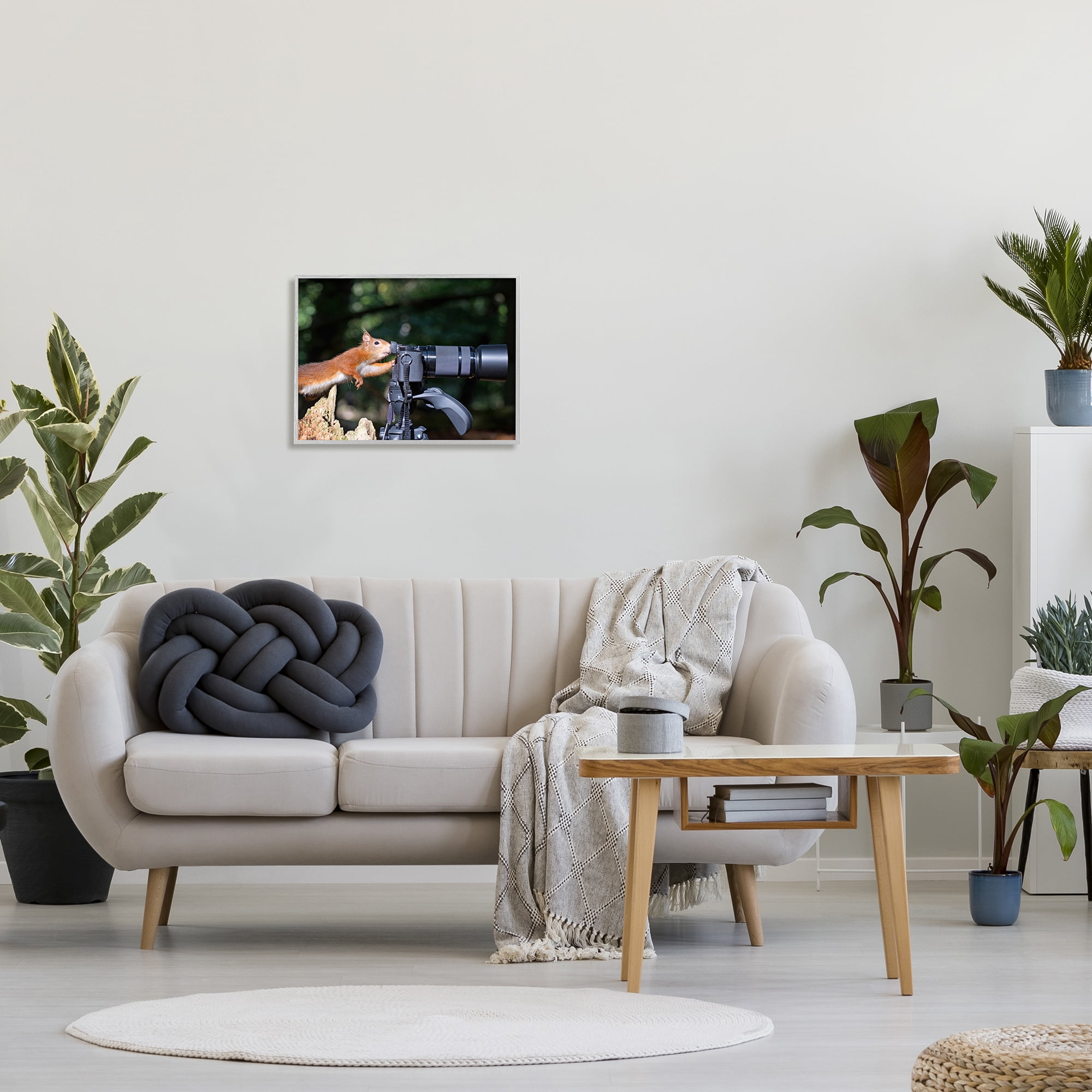 Stupell Industries Funny Squirrel Photographer Animals & Insects Photography Gray Framed Art Print Wall Art, 20 x 16