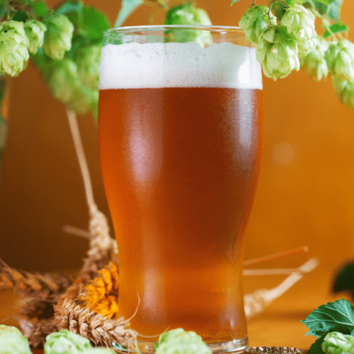 Scotch Ale Recipe Extract Dandk Organizer