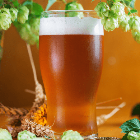 

90 SHILLING ALE Extract Beer Brewing recipe Homebrew Ingredient kit