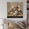 thumbnail image 2 of Designart "Grey Clam Coastal euphony I" Animals Print on Natural Pine Wood, 2 of 5
