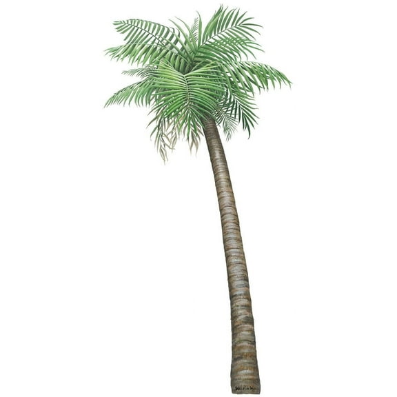 Walls of the Wild Palm Tree Wall Decal Sticker