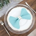 thumbnail image 6 of Efavormart Cloth Napkins Set of 50, 17x17  Inch Light Blue Seamless Dinner Napkins, Washable Linen Table Napkin Cloth with Hemmed Edges for Weddings, Party and Banquet, 6 of 10