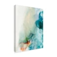 thumbnail image 2 of Trademark Fine Art 'Aversion I' Canvas Art by Sisa Jasper, 2 of 4