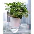 thumbnail image 3 of Jardinera Colgante de Pared shamjiam Blanca Simple Maceta de Riego Automático, 3 of 8