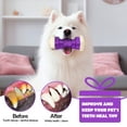 thumbnail image 3 of MASBRILL Interactive Dog Chew Toy-Brightly Colored Dog Enrichment Toy for Aggressive Chewers-Purple, 3 of 7