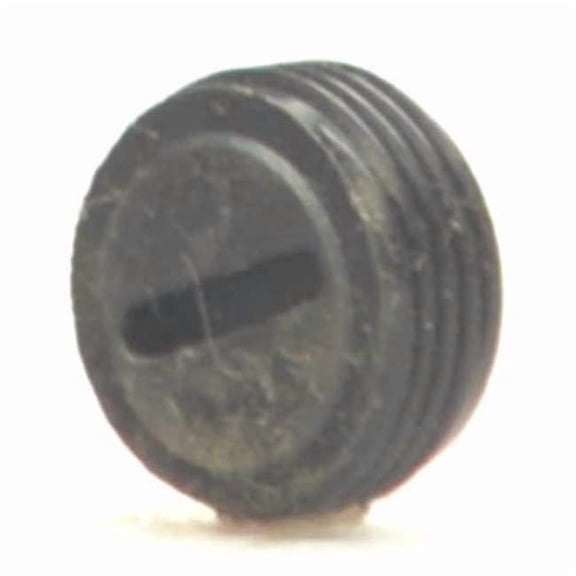 Dayton Cap,Brush,PK2 157-200-2600