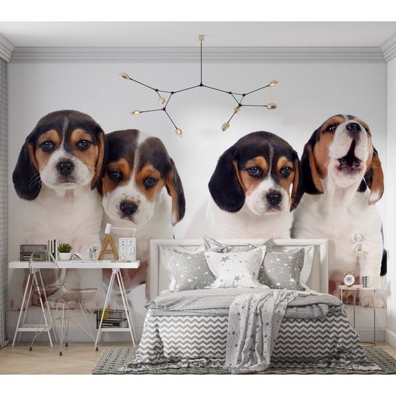 Animal Wallpaper Wall Mural - Cute Puppies
