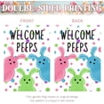 thumbnail image 4 of Large Easter House Flag 28x40 Inch Double Sided Welcome Peeps Bunny Flag Colorful Spring Yard Flag Outdoor Porch Cute Rabbit and Egg Pattern Farmhouse Easter Garden Banner for Home Patio Lawn, 4 of 8
