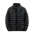 thumbnail image 2 of Zedker Men's Puffer Jackets Lightweight Winter Jackets Coats Water Resistant Windproof Insulated Casual Warm Mens Winter Coats Black XXL, 2 of 9