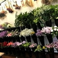 thumbnail image 5 of 3 Tier Metal Flower Display Stand Frame with 12pcs Buckets, Flower Plant Cart Display Stand with Wheels Heavy Duty Moving Flower Rack for Patio Garden Indoor Outdoor Florist Iron Shelf, 5 of 8