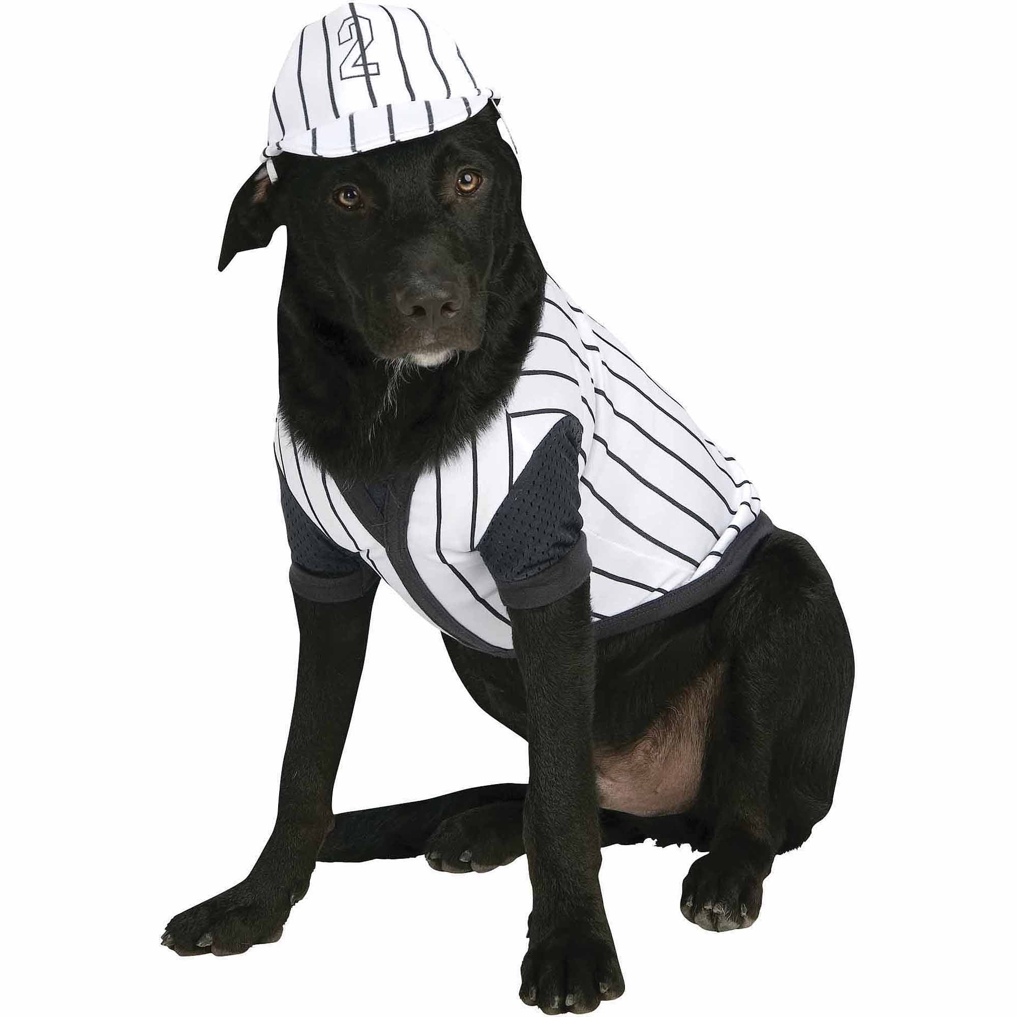 Baseball Player Dog Costume