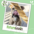 thumbnail image 6 of Nature Gnaws Beef Tripe Twists, Natural Dog Chew Treats (10 count), 6 of 8