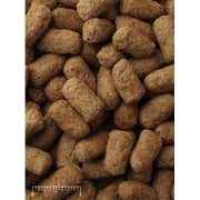 Mazuri Tortoise Diet, Burmese & Indian Star Tortoises, Elongated & Red-Footed Tortoises, Adult Box & Adult Wood Turtles, 25 lbs