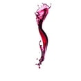thumbnail image 4 of Delta Wine Decanting Carafe, 4 of 6