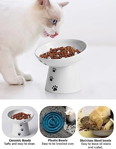 Slow Feeder Cat Bowl, Ceramic Cat Slow Feeder Bowl, 6 Inches, Elevated, Anti Vomiting for Dry and Wet Food, White