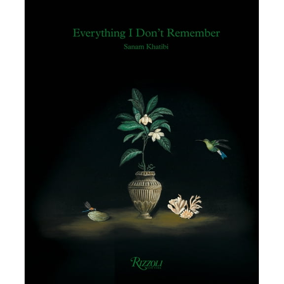 Sanam Khatibi: Everything I Don't Remember, (Hardcover)