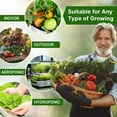 thumbnail image 2 of Organo Republic Thyme Seeds Pack – 0.5 g 1,350 Non‑GMO Heirloom Thyme Seeds – Indoor and Outdoor Herb Seed Packet for Home Garden & Hydroponics, 2 of 6