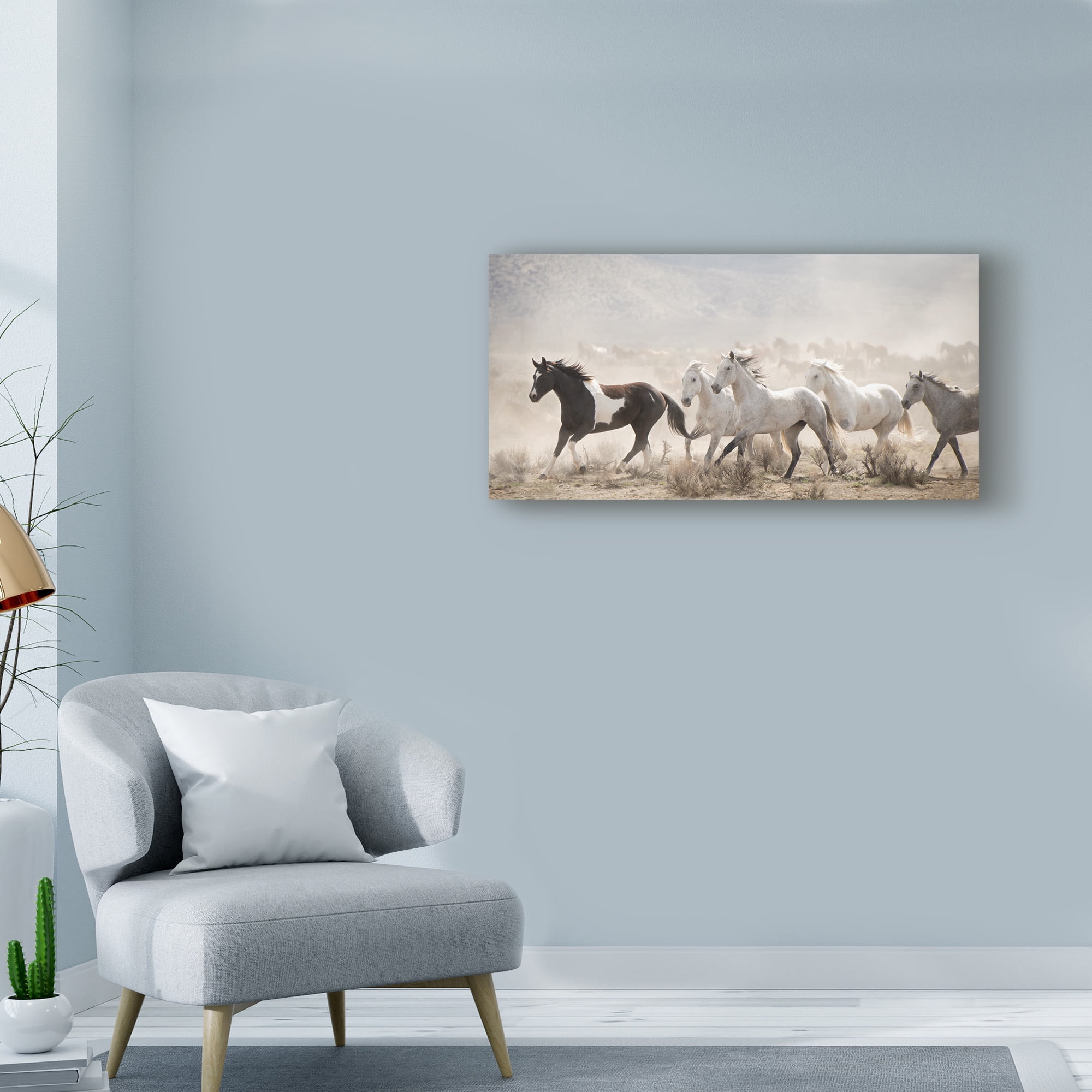 Phburchett 'Open Range' Canvas Art
