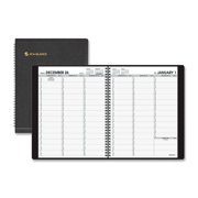 At-A-Glance 709500511 Professional Appointment Book