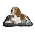 thumbnail image 2 of PKQWTM Dinosaurs Rainbow Circles Space Pet Dog Cat Bed Pee Pads Mat Cushion Potty Dogsblankets Crate Bed Kennel 20x24 inch, 2 of 3