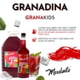 thumbnail image 4 of Jarabe endulzante sabor Granadina Mexclaito 5 L, 4 of 4
