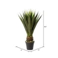 thumbnail image 2 of Vickerman FO181901 Pot d'Aloe Vera en Pot Vert de 40 Po, 2 of 2