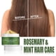 thumbnail image 5 of Maojin Champú para el cabello, champú para alisar el cabello, aceite de menta, cuero cabelludo, daño seco, cabello rizado grueso, fortalecimiento(Buy 2 Save 10%), 5 of 8