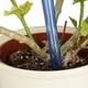 thumbnail image 3 of Bolas de riego, juego de 4, riego dosificado, 2 semanas, retráctiles, decoración, plantas en maceta, plástico, azul, 3 of 4