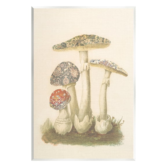 Stupell Industries Vintage Patterned Mushrooms Botanical & Floral Painting Unframed Art Print Wall Art, 10 x 15