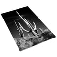 thumbnail image 3 of Print: Saguaro Cactus Near Tucson, Arizona, 3 of 4