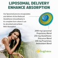 thumbnail image 3 of Suplemento de glutatión liposomal de Guigmiens, 2000 mg, 120 unidades, 3 of 8