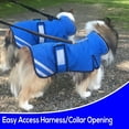 thumbnail image 4 of Derby Originals Swamp Cooling Dog Jacket with Harness Compatible Opening, Cools and Reflects Heat and UV, 4 of 5