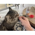 thumbnail image 3 of Cat Treats Bench & Field Holistic, natural y saludable, para gatitos, 3 of 9