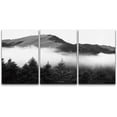 thumbnail image 3 of PixonSign Canvas Print Wall Art Set Film Grain Mountain, Forest & Fog Nature Wilderness Photography Realism Rustic Landscape Dramatic Dark Black and White for Living Room, Bedroom, Office - 24"x36"x3, 3 of 5