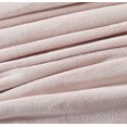 thumbnail image 2 of Plush Blanket Pale Pink Twin, 2 of 3