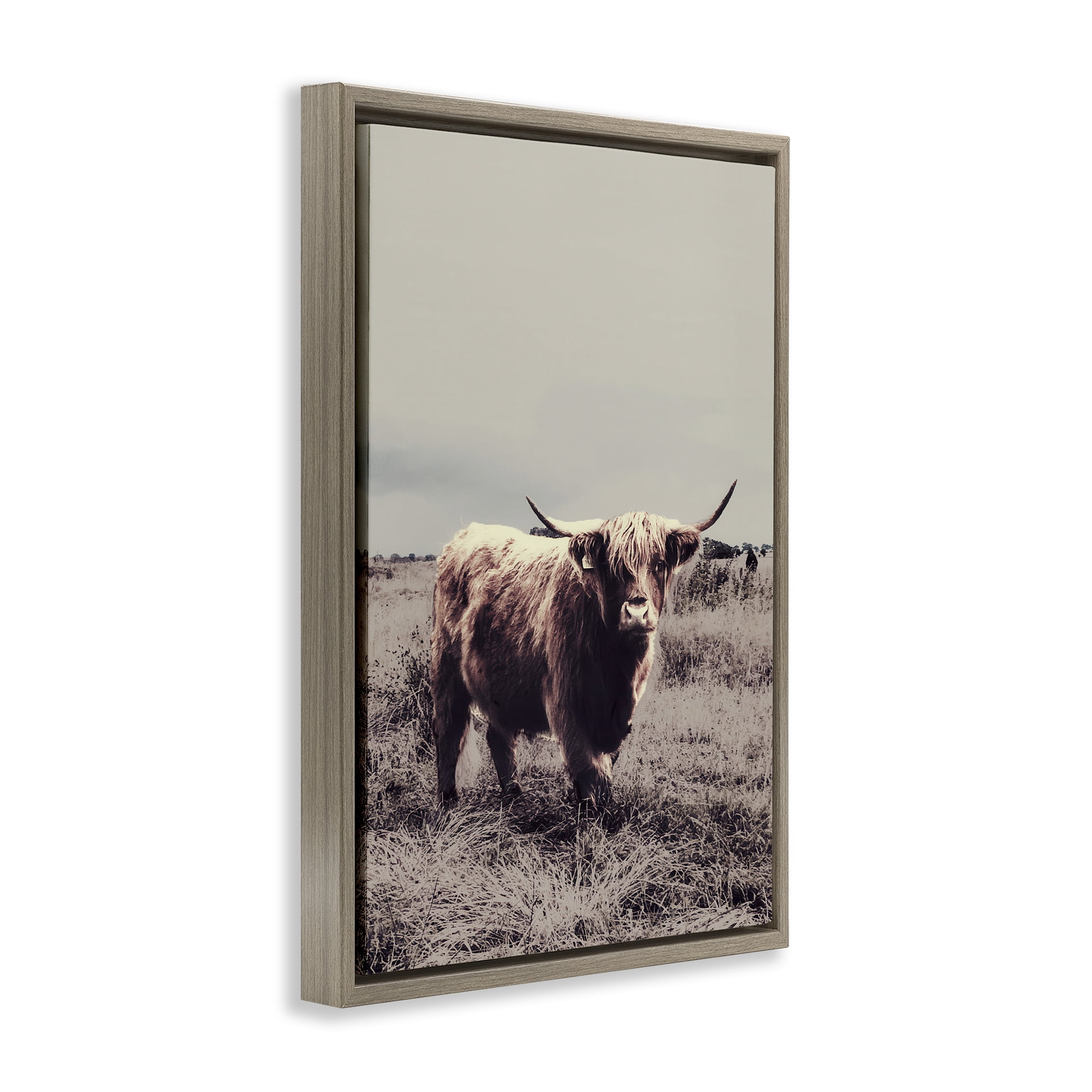 Stupell Industries Horned Cattle in Pasture Brown Framed Floater Canvas Wall Art, design by SD Graphics Studio