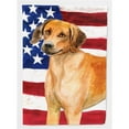 thumbnail image 1 of Carolines Treasures BB9676GF Rhodesian Ridgeback Patriotic Garden Flag, 1 of 3