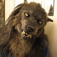 thumbnail image 2 of Máscara de cabeza de hombre lobo realista de látex con forma de perro lobo para Halloween, 2 of 3