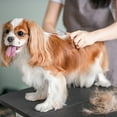 thumbnail image 5 of Mini Wooden Pet Grooming Comb Fine Teeth Detangling Tool For Dogs Cats Indoor Outdoor Use Gentle Massage, 5 of 5