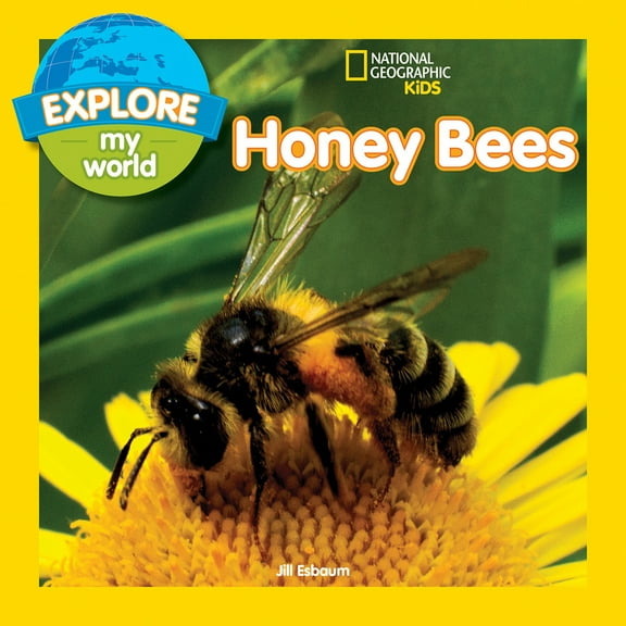 Pre-Owned Explore My World: Honey Bees (Paperback) 1426327137 9781426327131