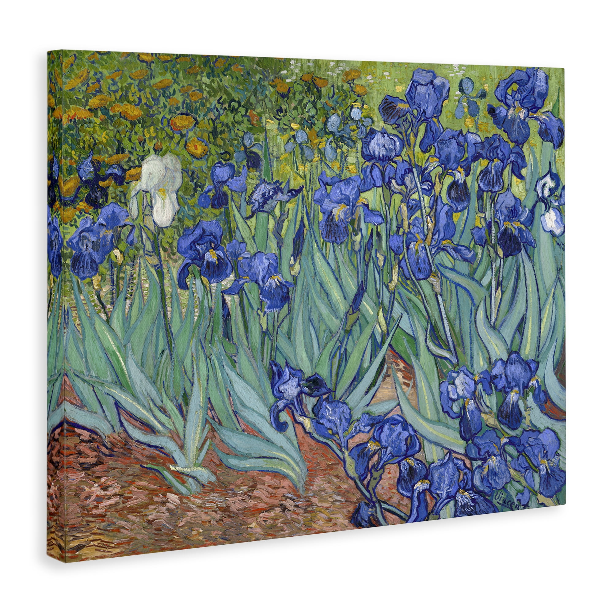 Stupell Industries Classic Van Gogh Irises Plants & Flowers Painting Wrapped Canvas Art Print Wall Art, 20 x 16