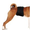 thumbnail image 4 of Male Dog Diapers Washable Pupply Diaper Durable Doggie Sanitary Physiological Pant, 4 of 4
