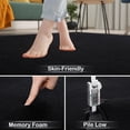 thumbnail image 5 of 2x3 Black Area Rugs For Bedroom Living Room  Soft Modern Indoor Throw Low Pile Fluffy Small Rug Door Mat Washable Non Slip Entryway Carpet Home Decor, 5 of 8