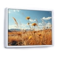 thumbnail image 2 of Designart "Meadow Of Summer Flowers At Sunset" Prairies Floater Framed Wall Art Prints, 2 of 5
