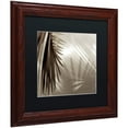 thumbnail image 2 of Trademark Fine Art "Florison 55" Canvas Art by Alan Blaustein, Black Matte, Wood Frame, 2 of 4