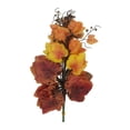 thumbnail image 4 of FUEENIRVA 12Pcs Simulated Maple Leaf Cane Photo Holder Home Decoration for Autumn Celebration Orange Red Decor, 4 of 6