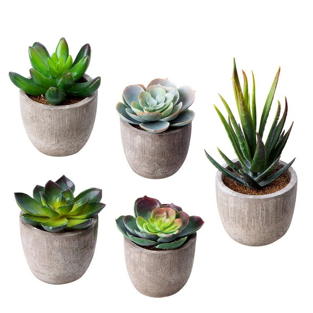 MoonLa Artificial Succulent Plants, Assorted Decorative Faux Succulent ...