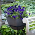 thumbnail image 6 of RTS Home Accents 16" Square Garden Planter for Indoor or Outdoor Gardening, Graphite Color, 6 of 7
