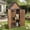 Natural(16.5"D x 30.3"W x 67.1"H), variant on MEDEHOO Outdoor Storage Shed with All Around Strong Metal Frame, Garden Tool Sheds Cabinet with Floor & Adjustable Shelves, Wooden Tool House for Backyard Garden Patio Lawn (Brown)