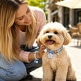 thumbnail image 6 of Pet Collar with Safety Buckle Vibrant Adjustable Beaded Collars for Cats and Puppy Dogs Cute Necklace with Charm Pendant for Small Kitten Puppy Girl Dog XL, 6 of 6